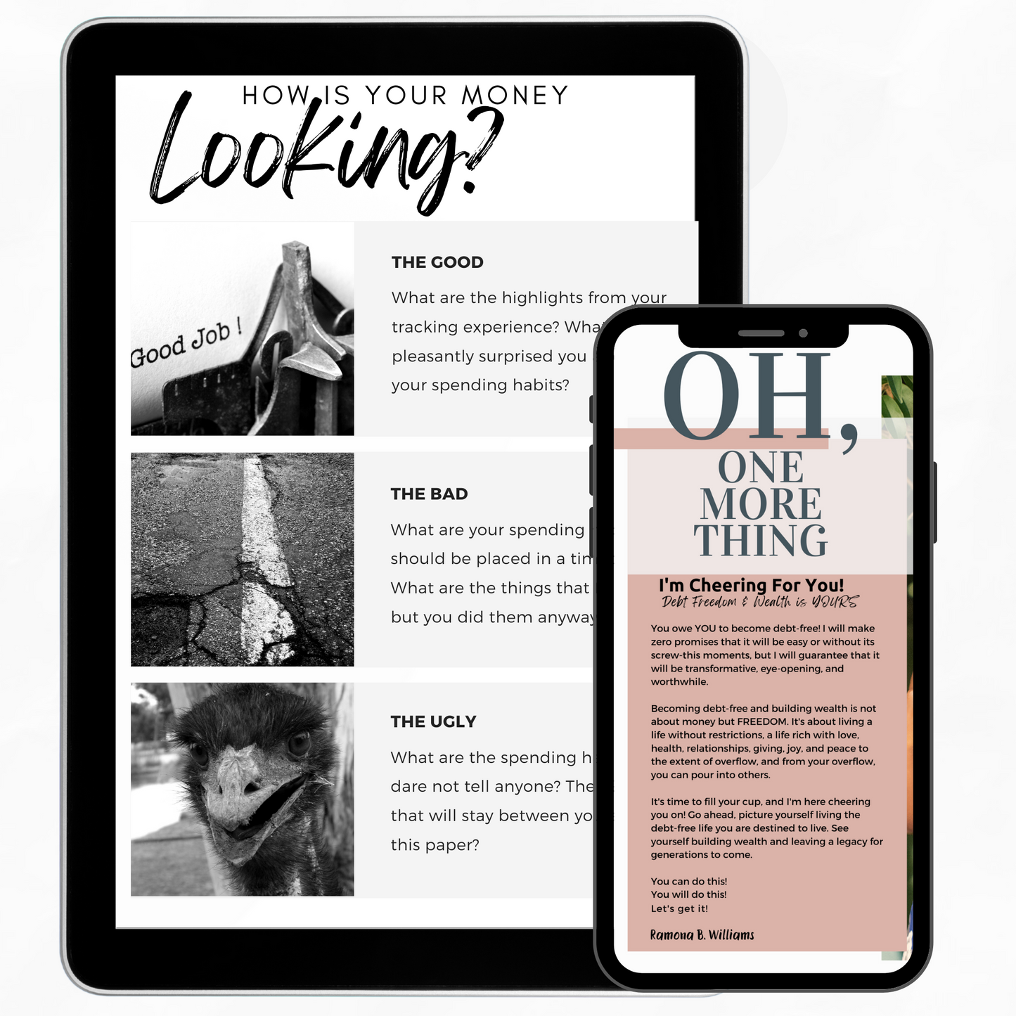 The Audacity to Manage Your Money & Build Wealth Interactive Wealthbook